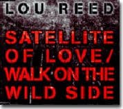 sat2004-2 Satellite of Love '04