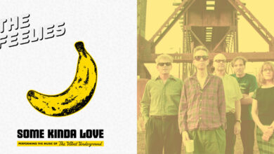 feelies some kinda love album testata